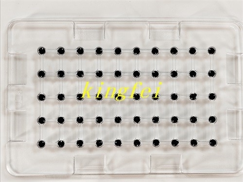 FUJI 2AGKNX006300 NXT 24 têtes 0,8 buste d'aspiration en stock livraison rapide